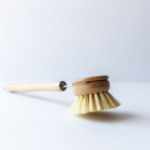 Eco Friendly Dish Brush with handle