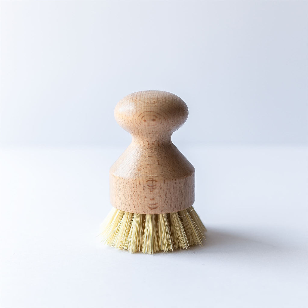 Eco Friendly Vegetable and Dish Brush